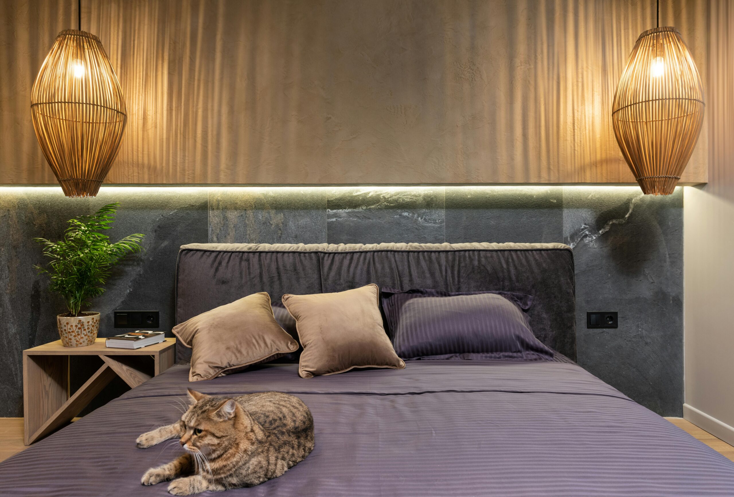 Urban Luxe Comfort Bed