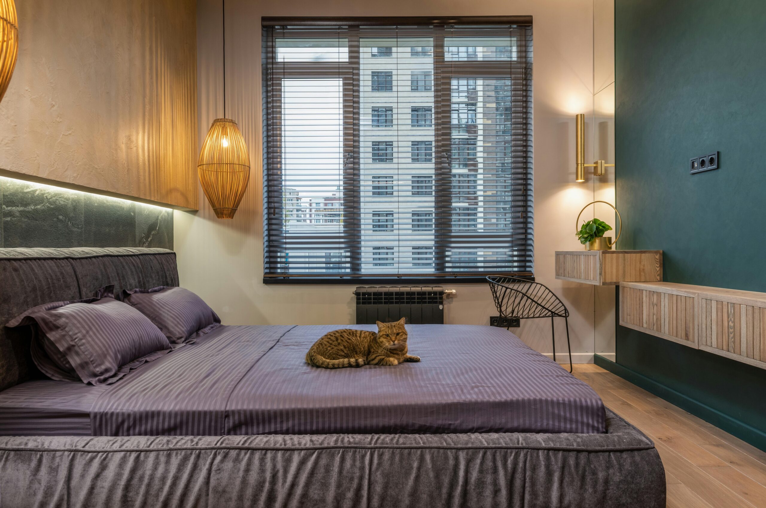 Urban Luxe Comfort Bed - Image 2
